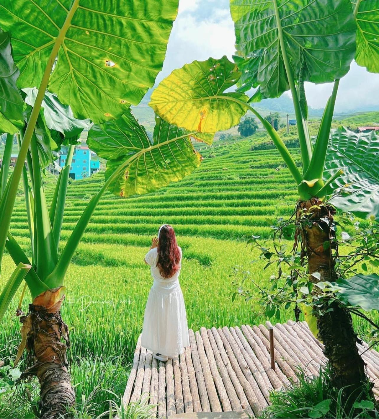 Boutique En Hotel Sapa Ngoại thất bức ảnh